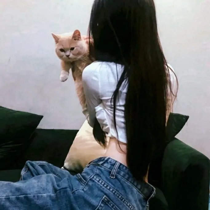 漫研部第三季